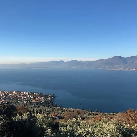 Belvedere
