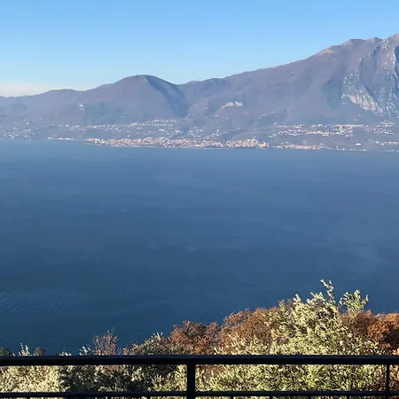 Belvedere *